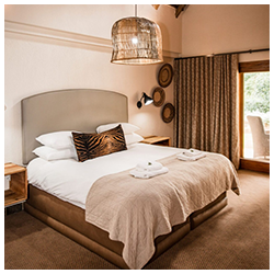 BIG 5 (3x Executive Rooms & 2x Family Rooms)