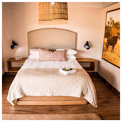 EXECUTIVE SUITE (x4 Executive Rooms & x2 Family Rooms)
